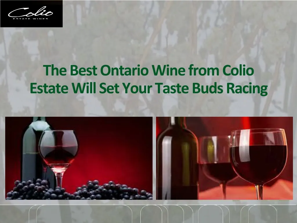 the best ontario wine from colio estate will set your taste buds racing