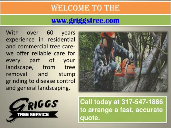 Tree Doctor In Indianapolis - Snow Removal - Tree Trimming