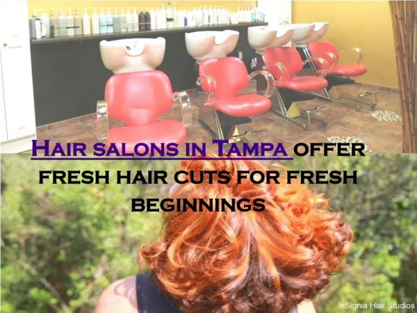 Hair salons in tampa offer fresh hair cuts for fresh beginni