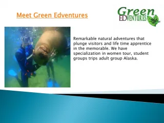 Marine - slide 1