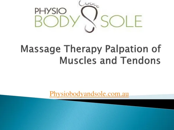 Massage Therapy-Palpation of Muscles and Tendons