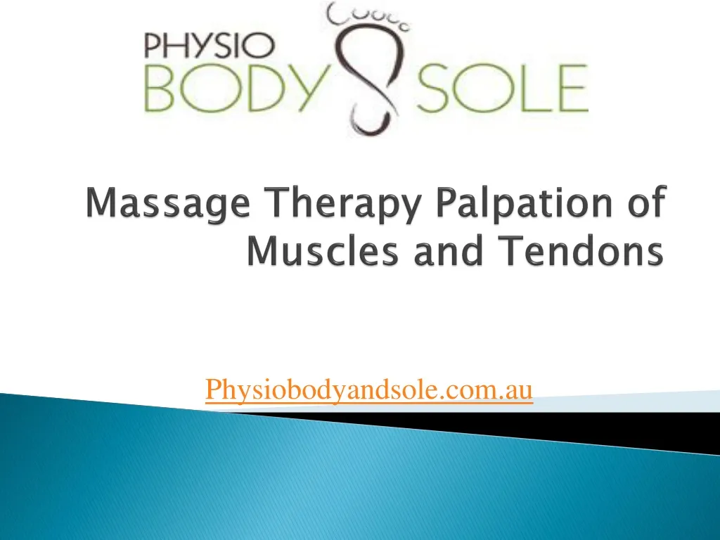 massage therapy palpation of muscles and tendons