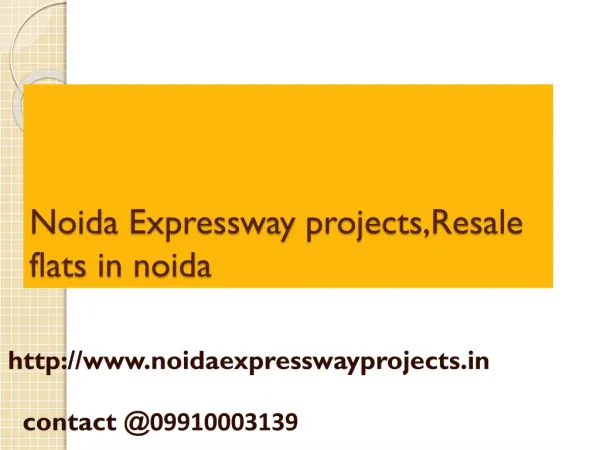 Noida Expressway Projects