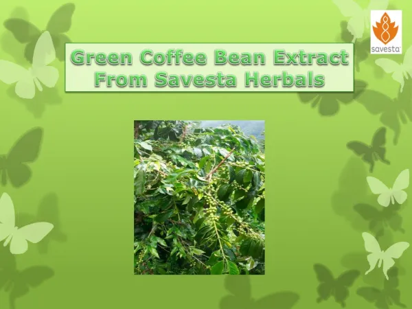 Green Coffee Bean Extract From Savesta Herbals