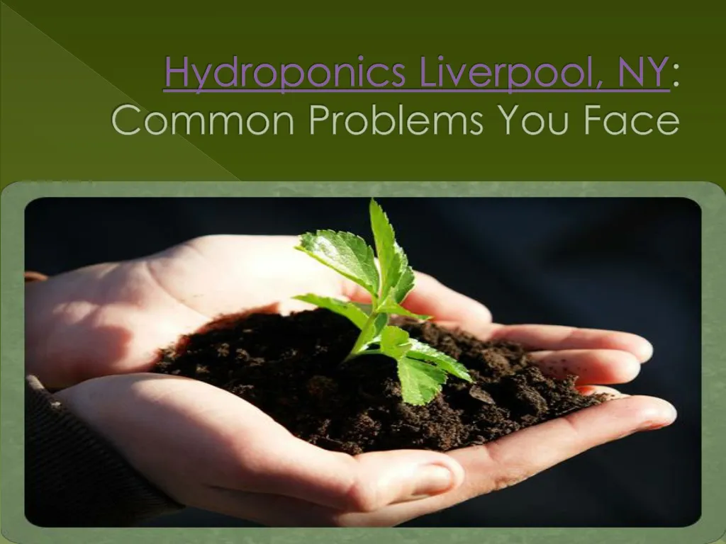 hydroponics liverpool ny common problems you face