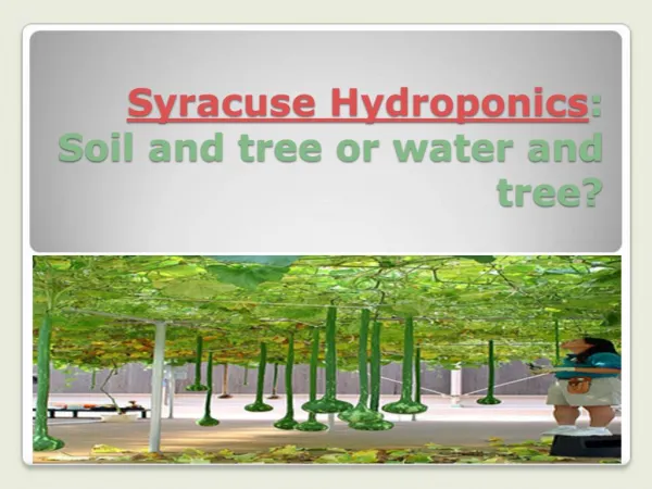 syracuse hydroponics