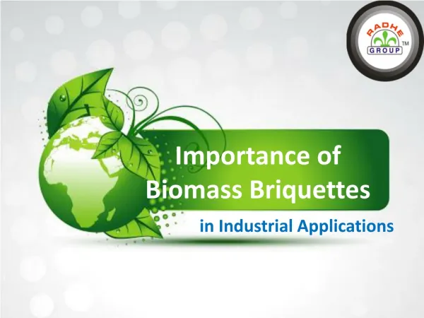 Importance of Biomass Briquettes in Industrial Applications