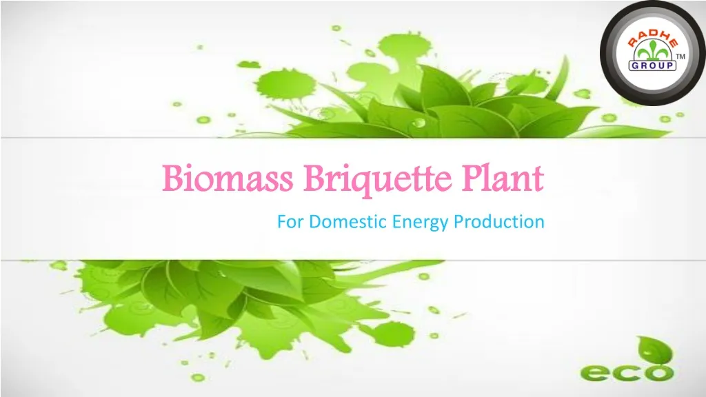 biomass briquette plant