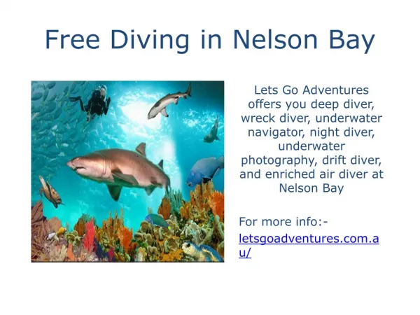 Free Diving in Nelson Bay