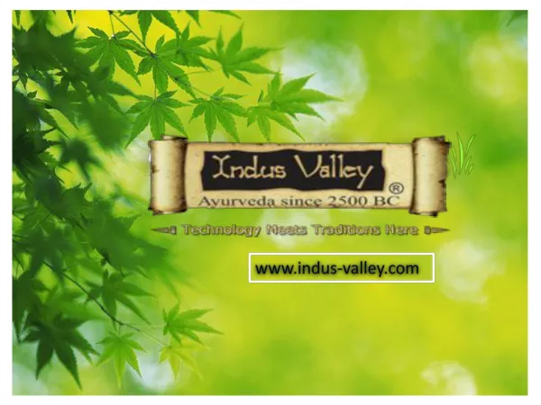Consult INDUS VALLEY for Grey Hair Treatment in Ayurveda