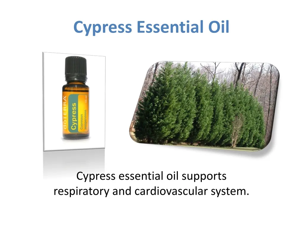 cypress essential oil