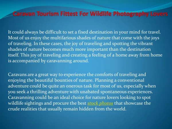 Caravan Tourism Fittest For Wildlife Photography Lovers