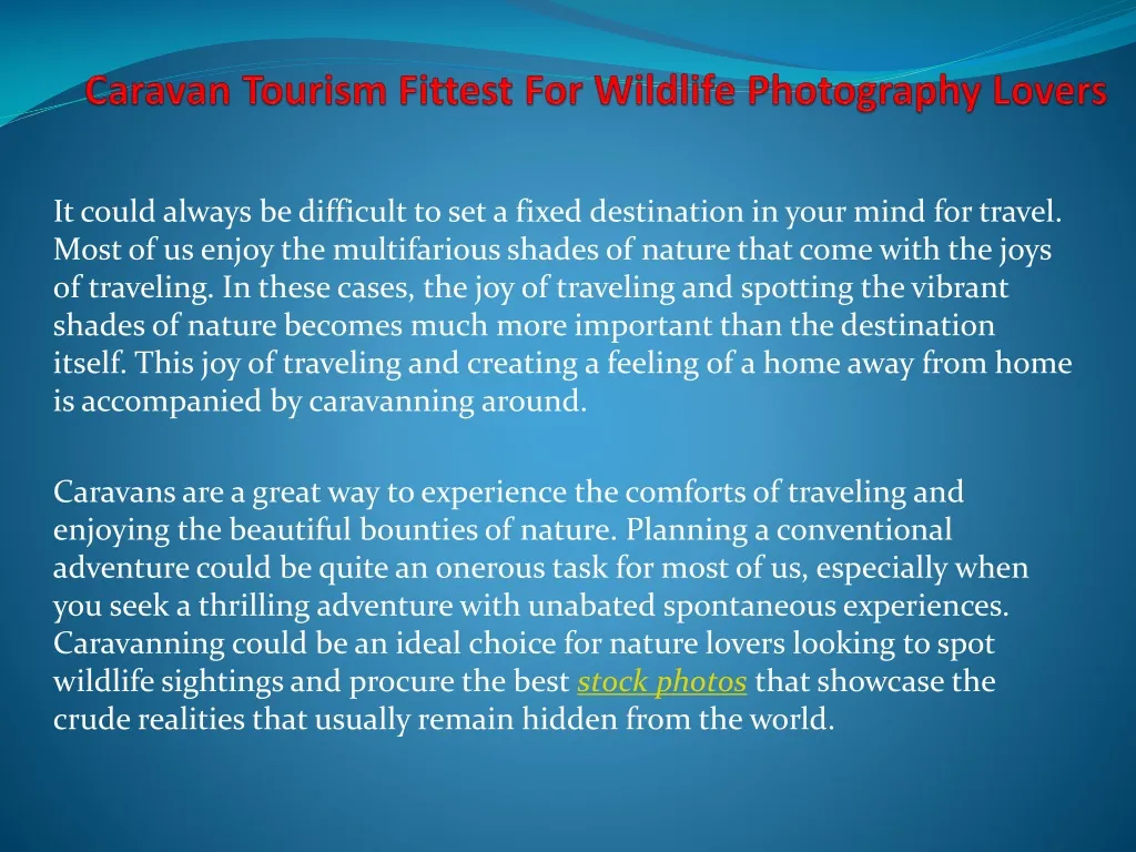 caravan tourism fittest for wildlife photography lovers
