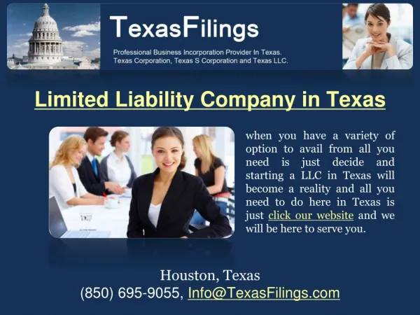Limited Liability Company in Texas