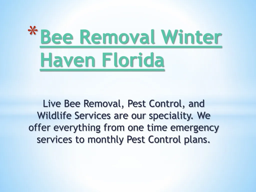 bee removal winter haven florida