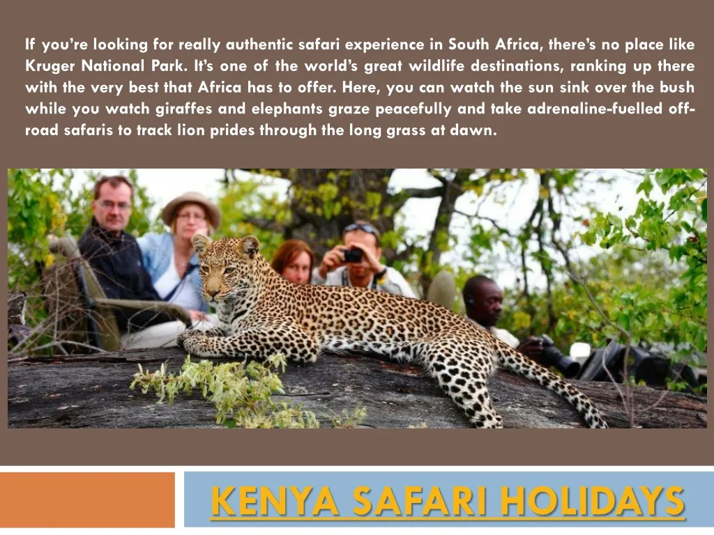 kenya safari holidays