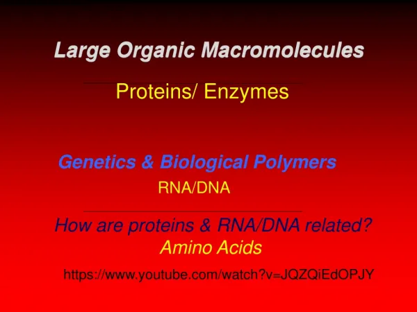 Genetics &amp; Biological Polymers RNA/DNA