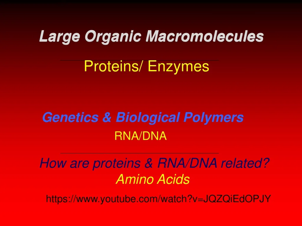 genetics biological polymers rna dna