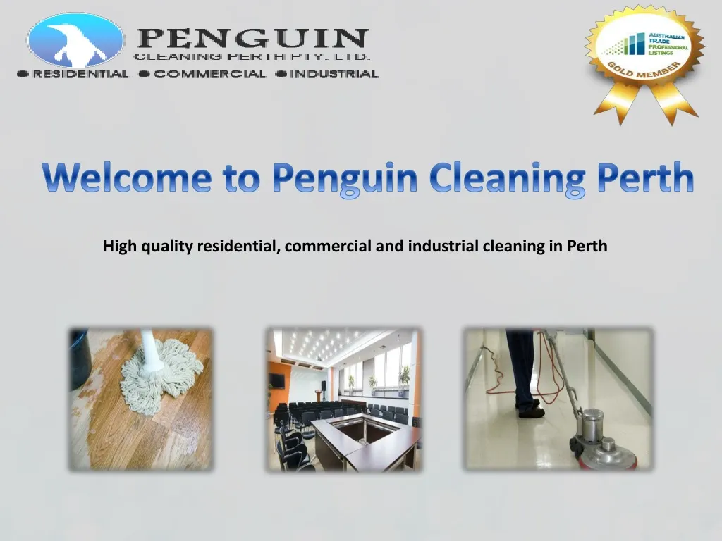 welcome to penguin cleaning perth