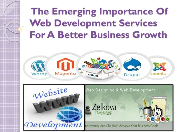 The Emerging Importance Of Web Development Services For A Be