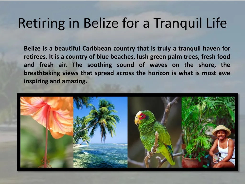 retiring in belize for a tranquil life