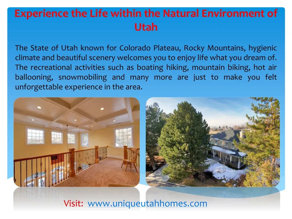 experience the life within the natural environment of utah