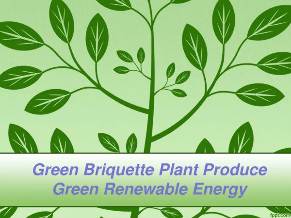 Green Briquette Plant Produce Green Renewable Energy