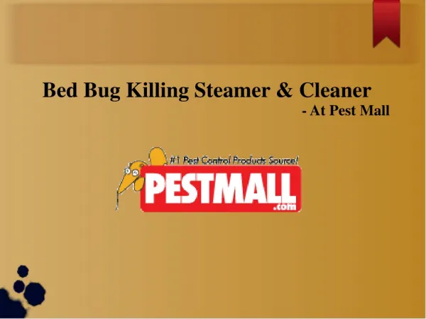 Bed Bug Killing Steamer