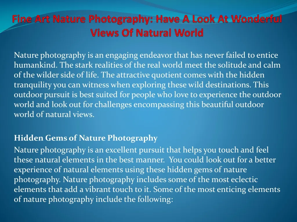 fine art nature photography have a look at wonderful views of natural world