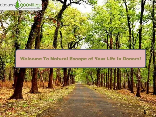 Welcome To Natural Escape of Your Life in Dooars!