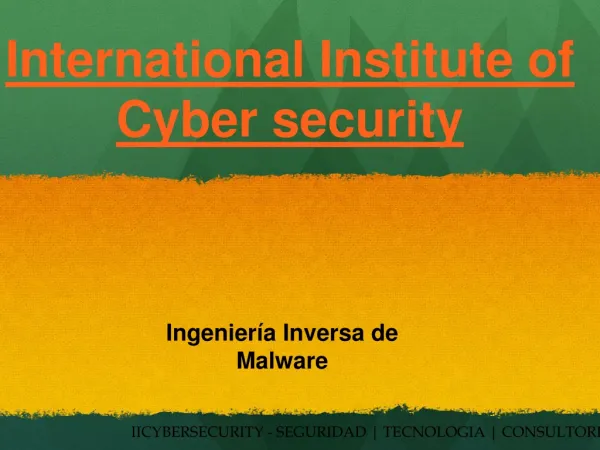 international institute of cyber security