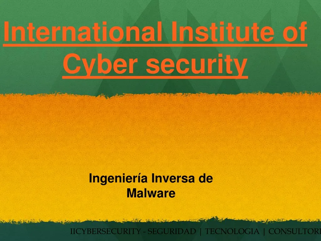 international institute of cyber security