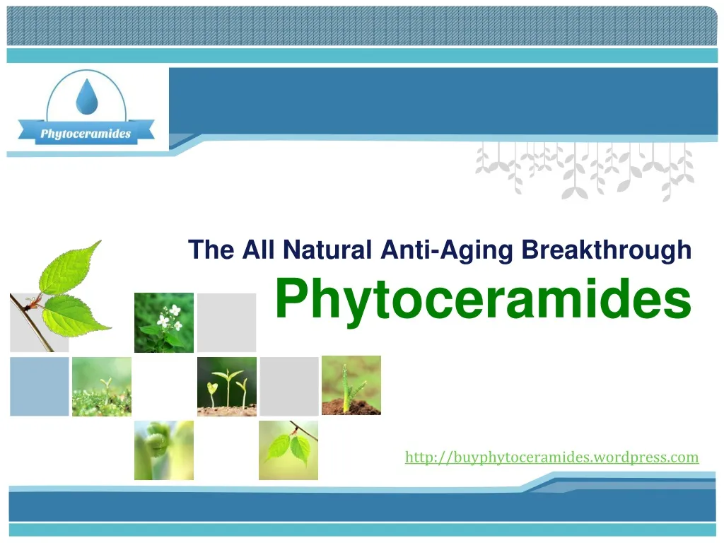 the all natural anti aging breakthrough phytoceramides