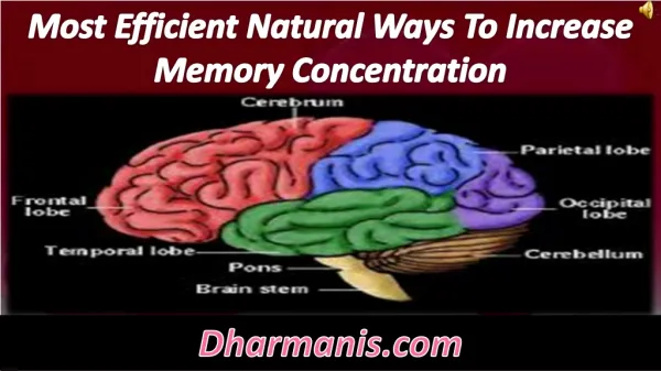 Most Efficient Natural Ways To Increase Memory Concentration