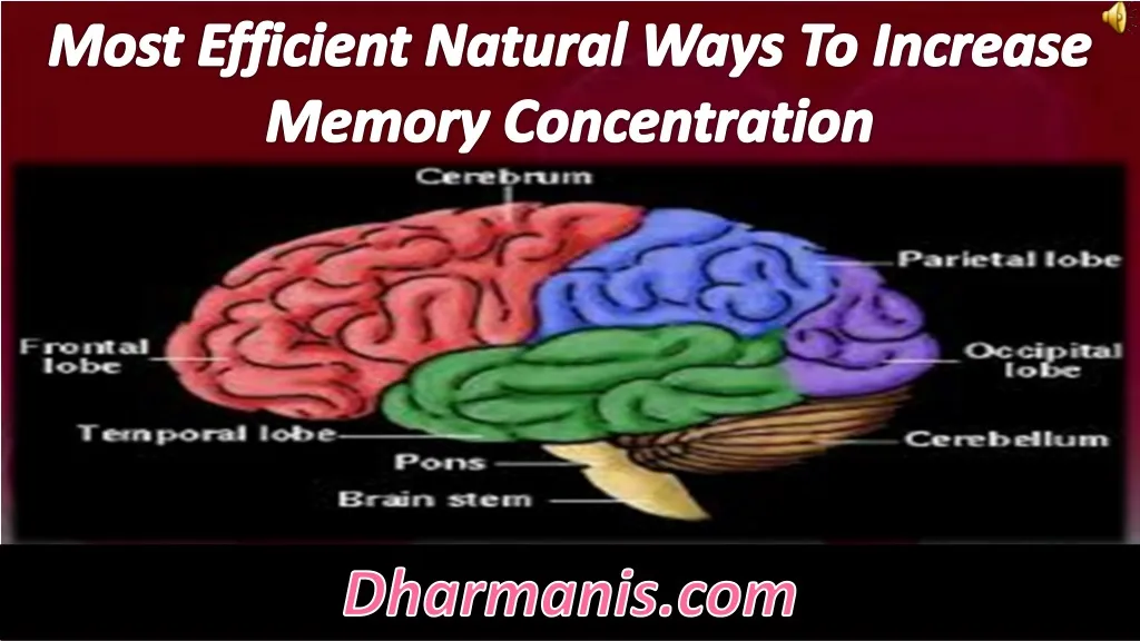 most efficient natural ways to increase memory