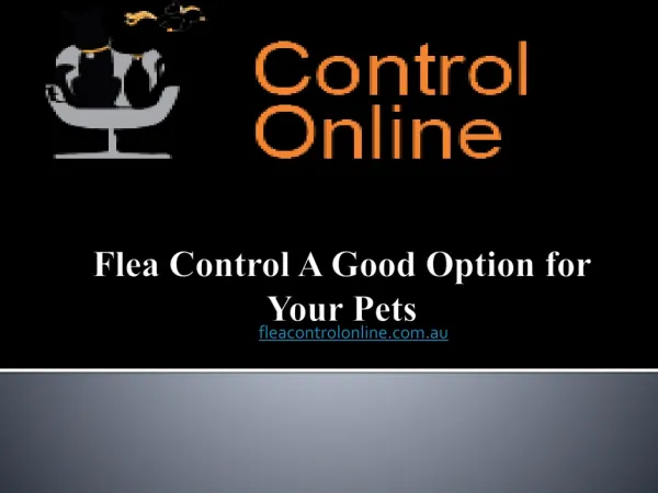 Flea Control: A Good Option for Your Pets