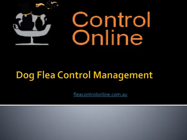 Dog Flea Control Management