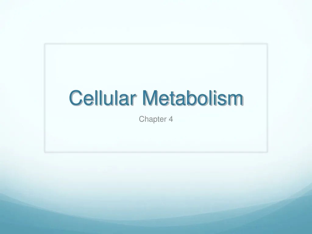cellular metabolism