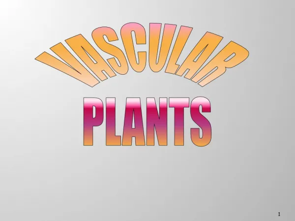 VASCULAR PLANTS