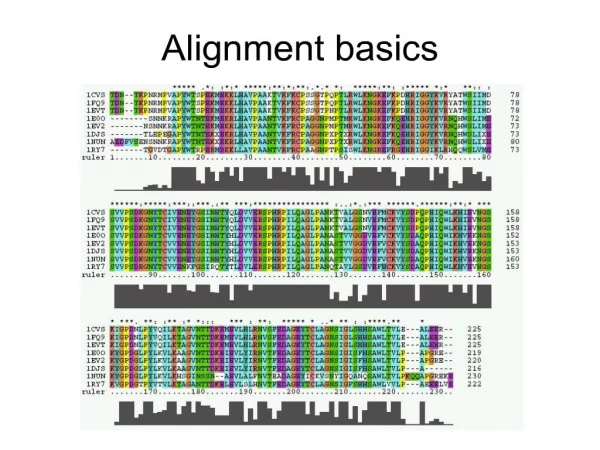 alignment basics