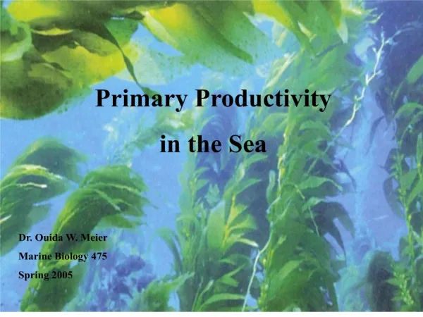 primary productivity in the sea