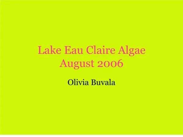 lake eau claire algae august 2006