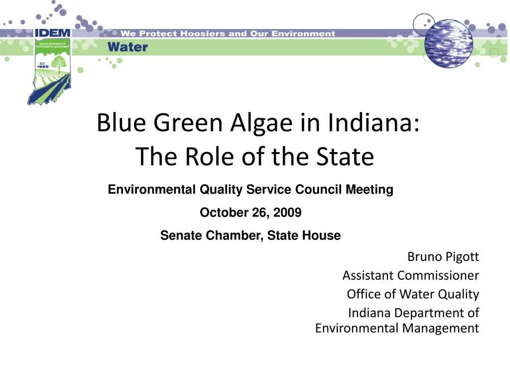 blue green algae in indiana the role of the state