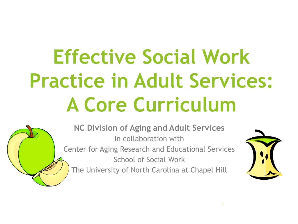 effective social work practice in adult services a core curriculum