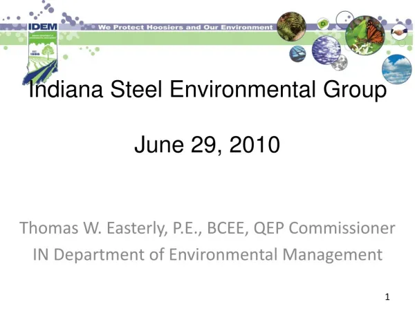 Indiana Steel Environmental Group June 29, 2010