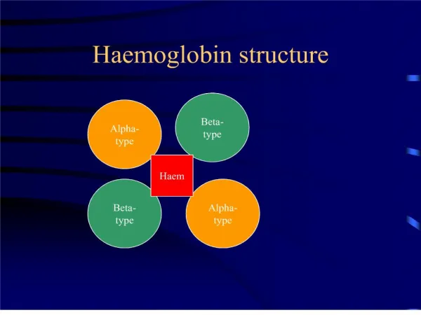 haemoglobin structure