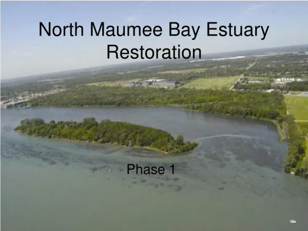 North Maumee Bay Estuary Restoration