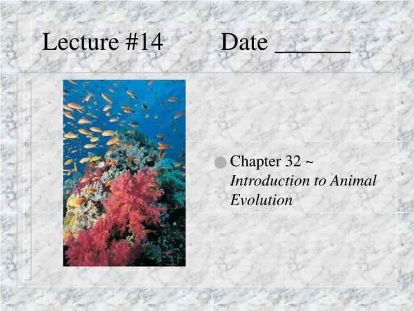 Lecture #14 Date ______