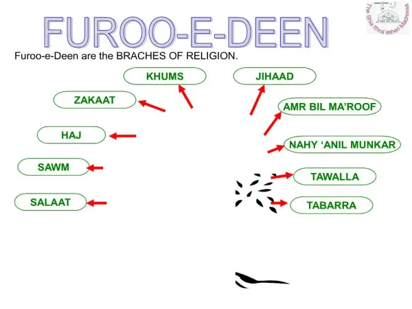 furoo-e-deen are the braches of religion.
