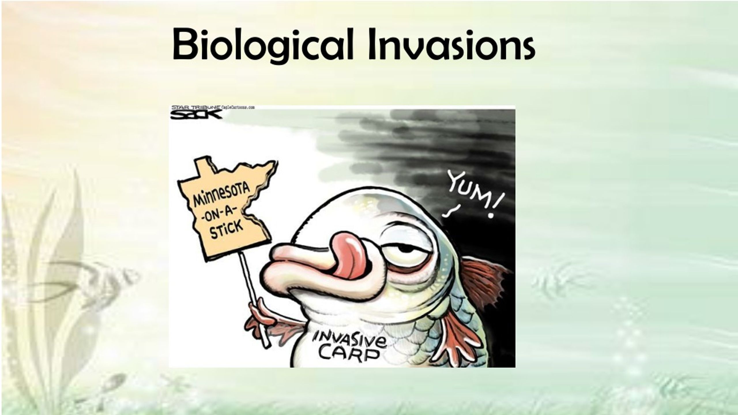 PPT - Biological Invasions PowerPoint Presentation, free download - ID ...